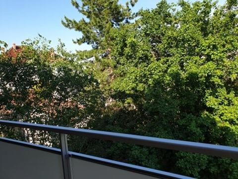 Appartement Foch A Colmar Buitenkant foto